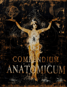 Compendium Anatomicum